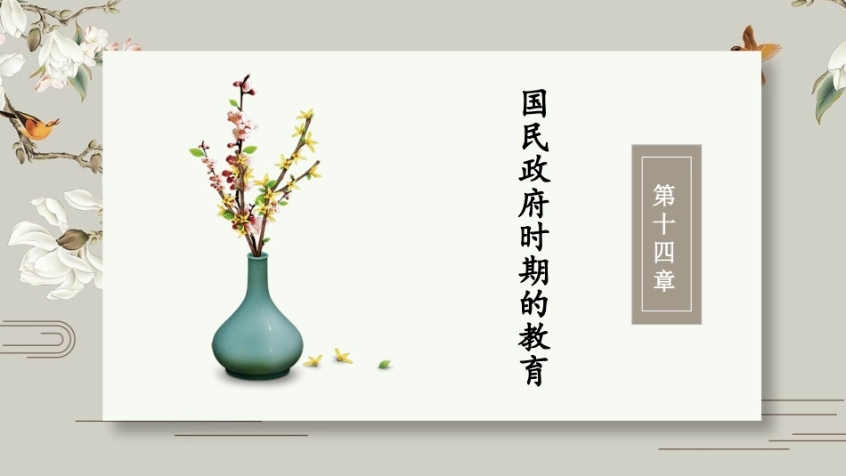 中国教育史：国民政府时期的教育PPT教学课件.pptx_第2页