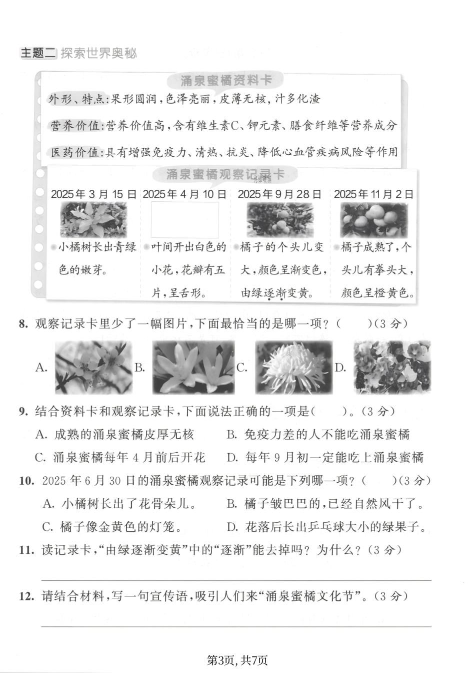 四年级（上）语文期中情景检测卷.pdf_第3页