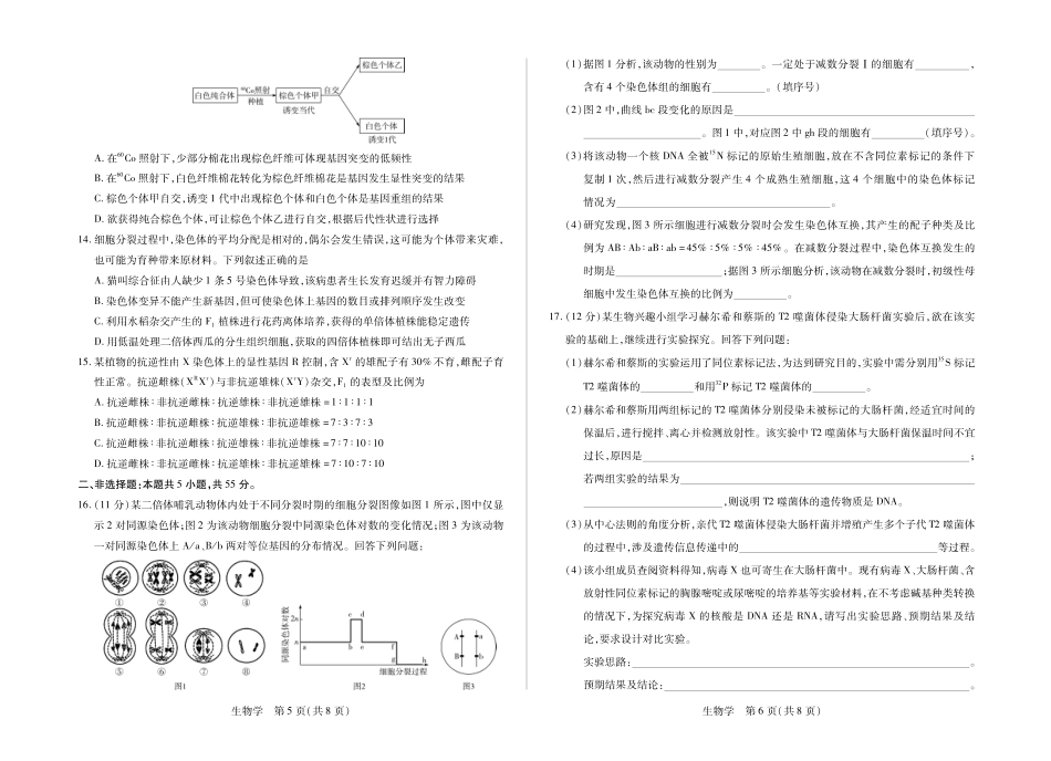 安徽部分学校2026-2027学年高二上学期10月阶段检测（生物）试题C+答案.pdf_第3页