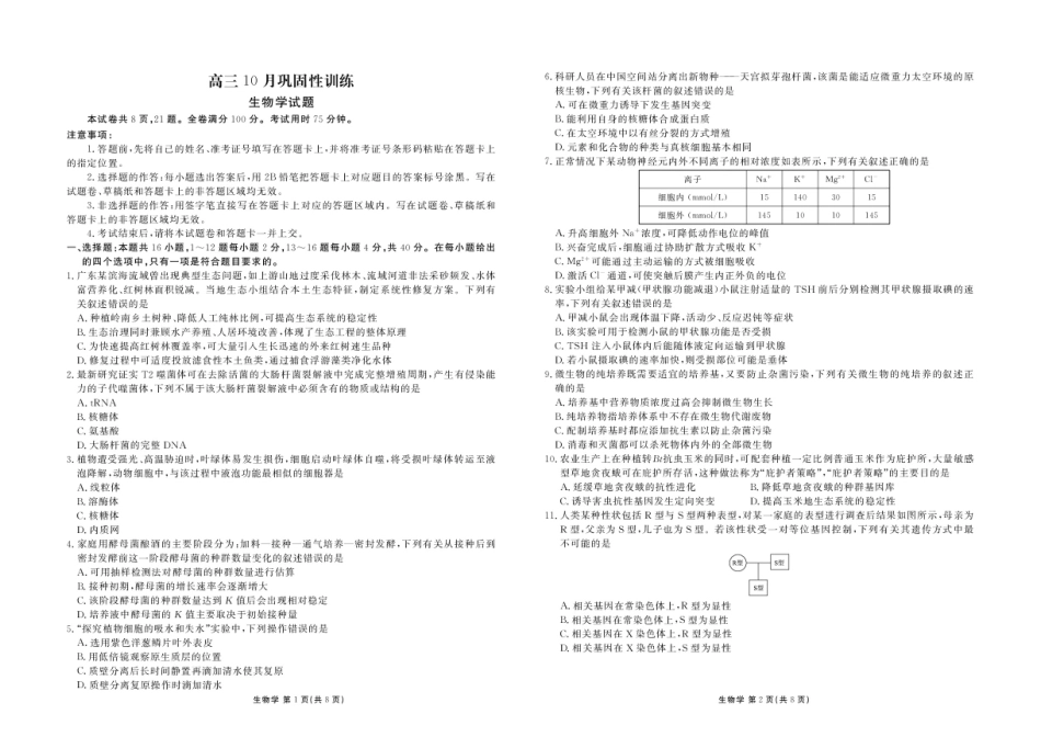 广东衡水金卷2027届高三上学期10月巩固性训练（生物）试题+答案.pdf_第1页
