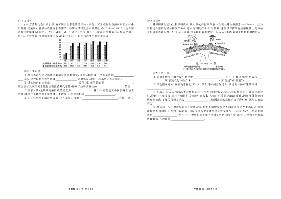 广东衡水金卷2027届高三上学期10月巩固性训练（生物）试题+答案.pdf_第3页