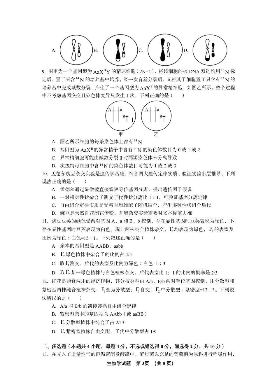 江西省南昌市第二中学2026-2027学年高三上学期10月阶段检测【生物】试题+答案.pdf_第3页