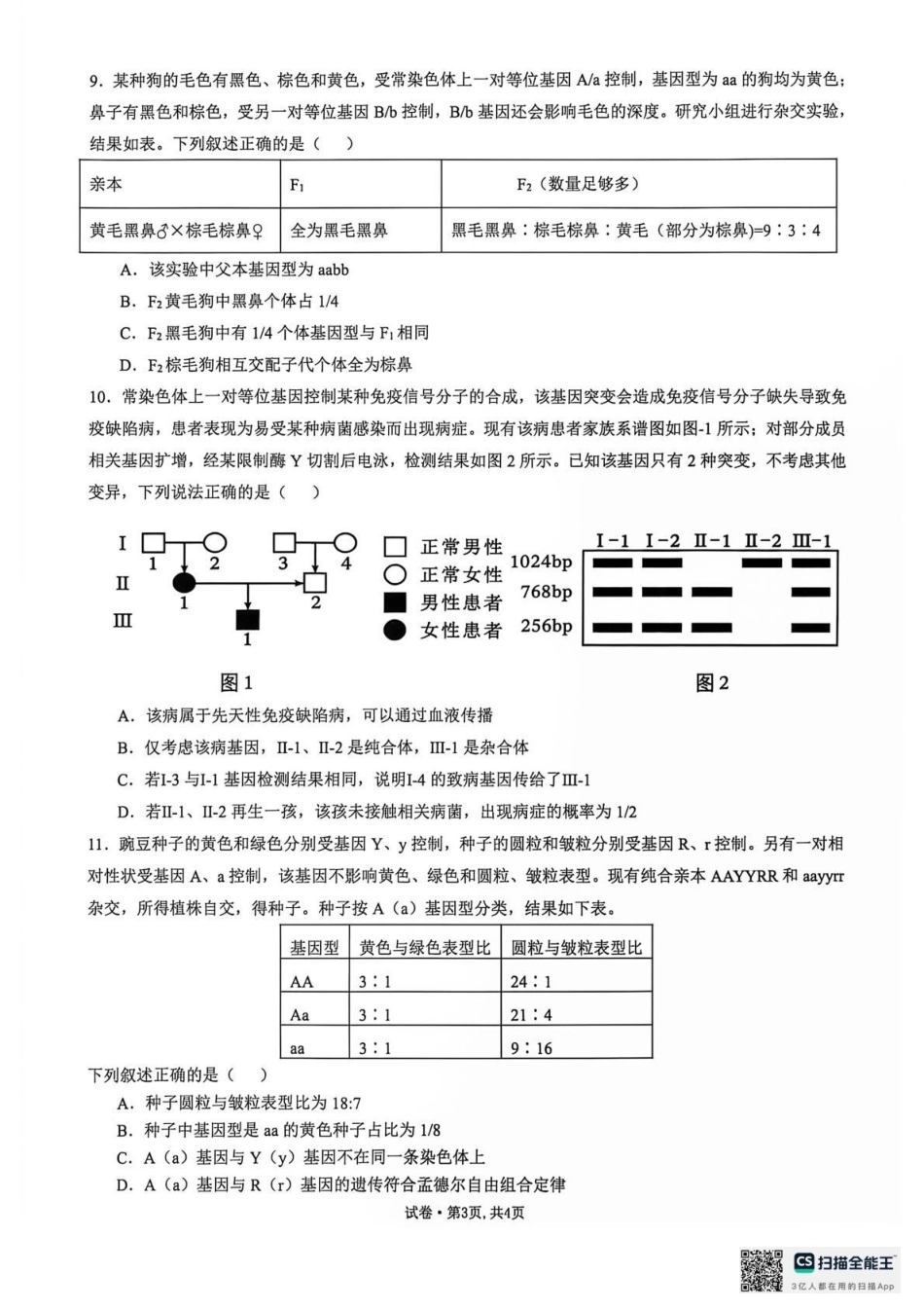 云南师范大学附属中学2026-2027学年高三上学期学科体验2 生物+答案.pdf_第3页