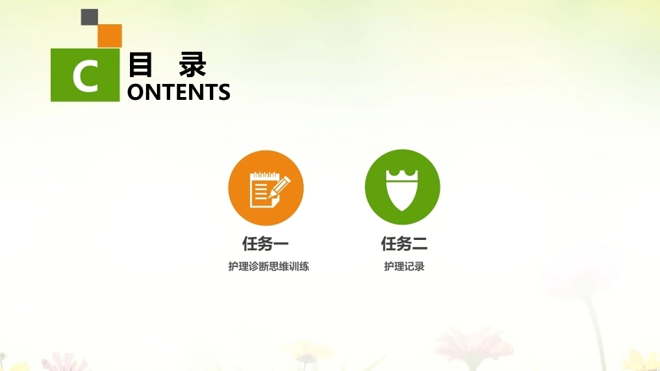 健康评估：护理诊断思维训练与护理记录PPT教学课件.pptx_第2页