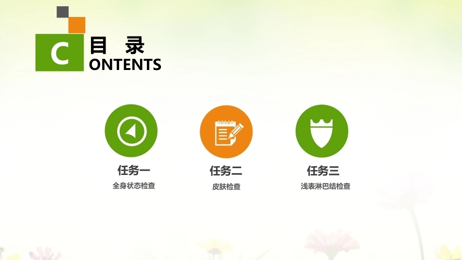 健康评估：体格检查PPT教学课件.pptx_第2页