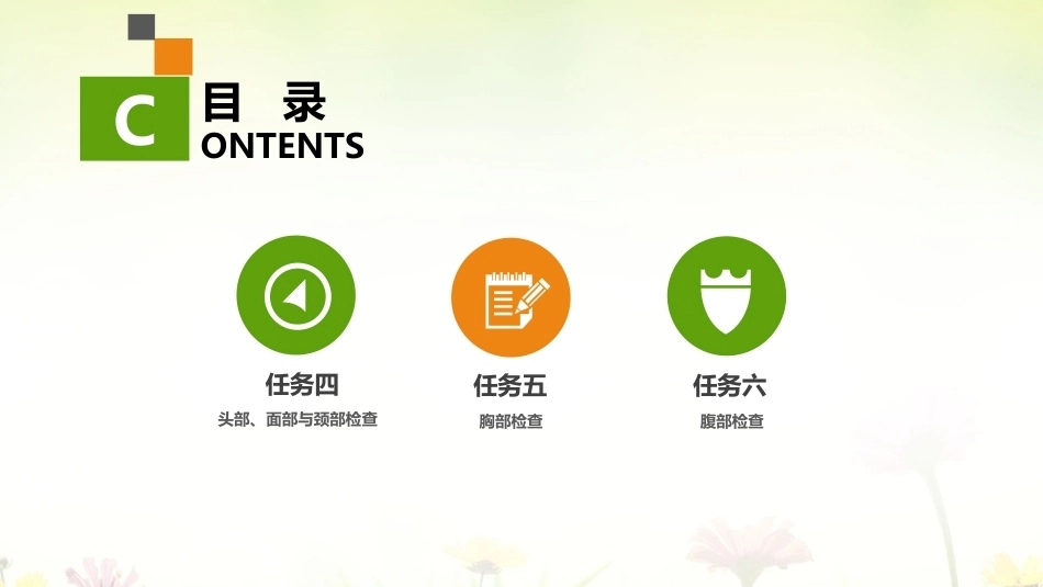 健康评估：体格检查PPT教学课件.pptx_第3页