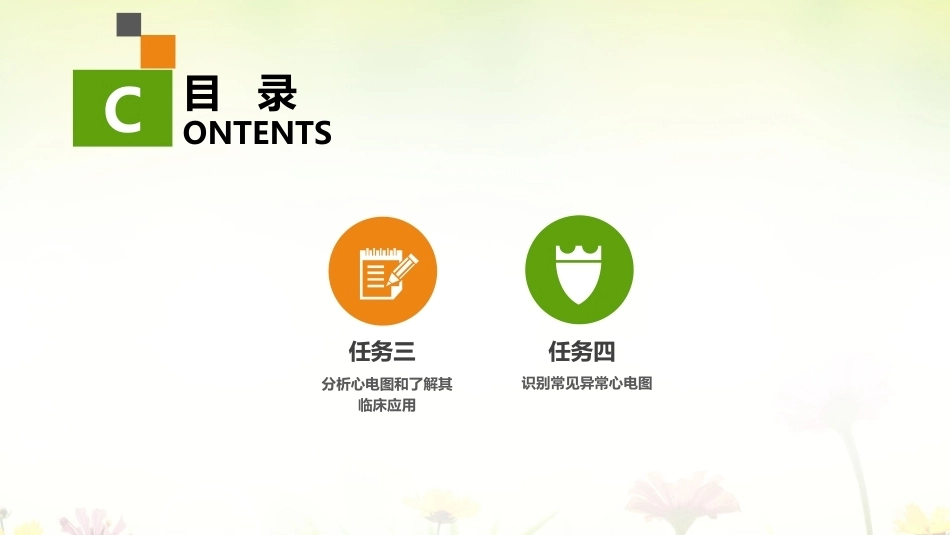 健康评估：心电图检查PPT教学课件.pptx_第3页