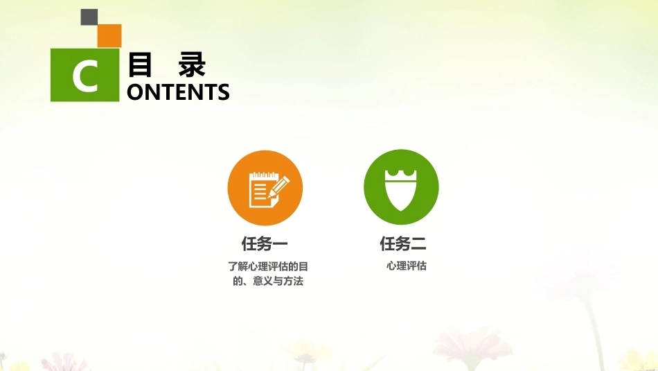 健康评估：心理评估PPT教学课件.pptx_第2页