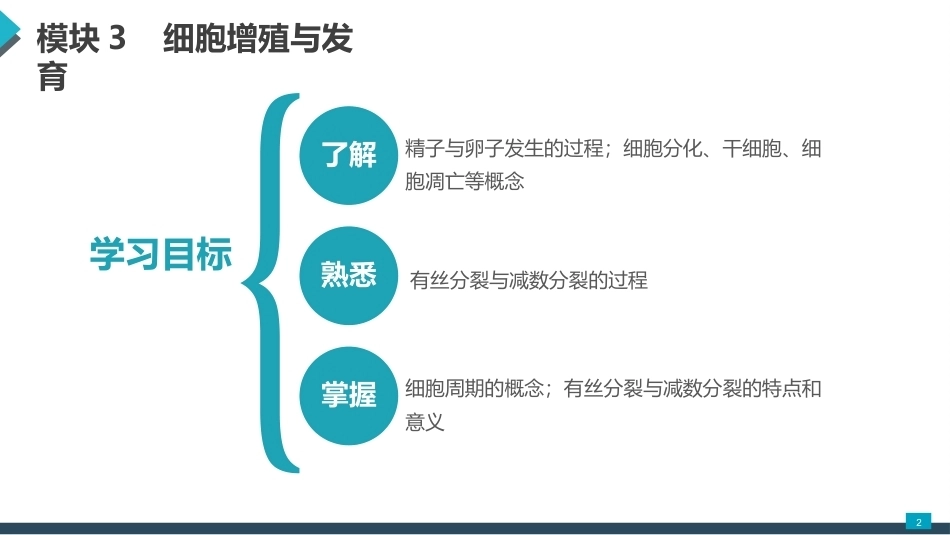 医用生物学：细胞增殖与发育PPT教学课件.pptx_第2页