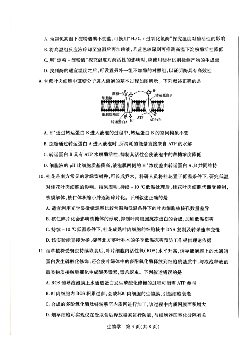 河南部分学校2027届高三上学期10月联考（生物）试题+答案.pdf_第3页