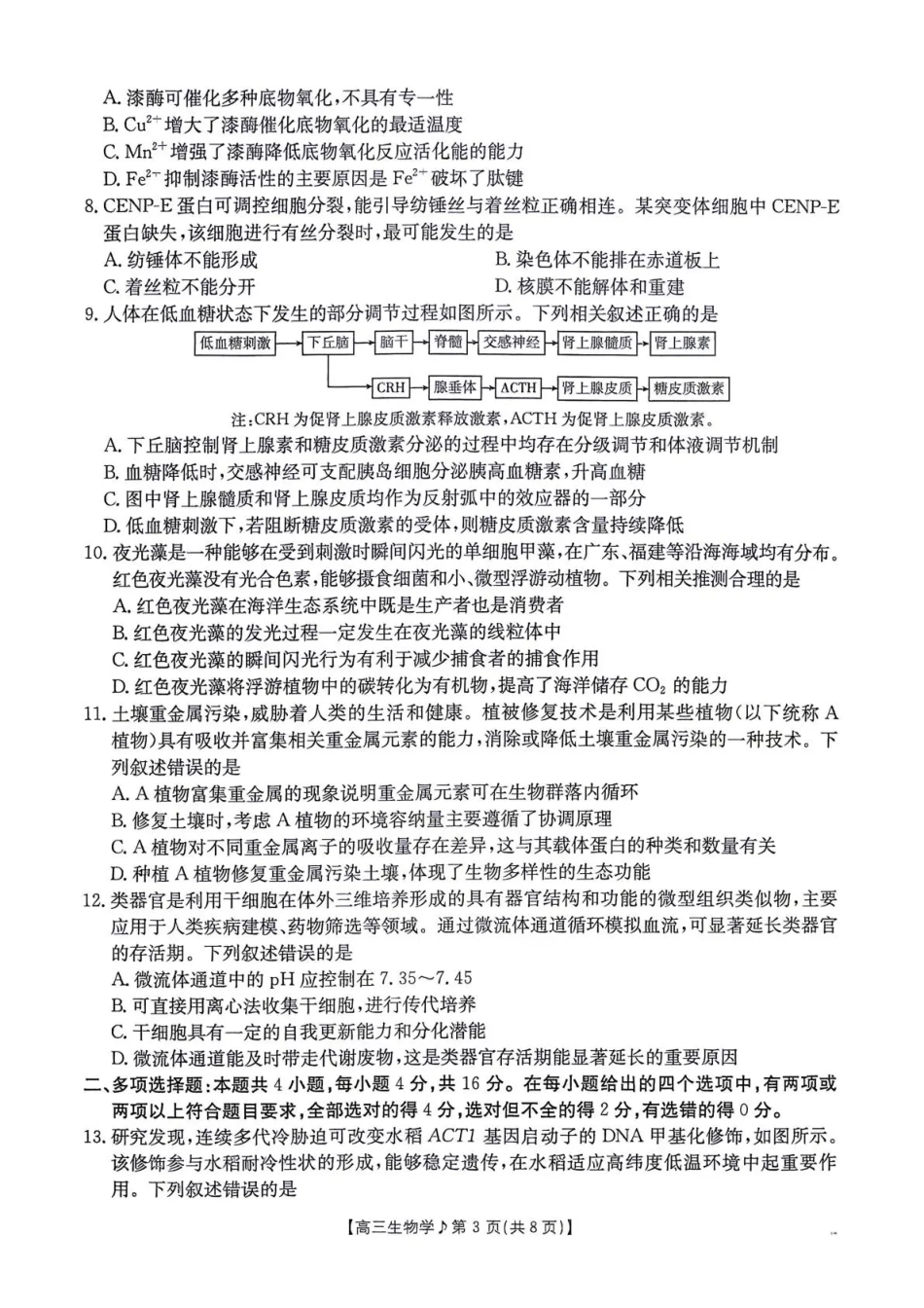 江西部分学校2027届高三上学期10月限时训练（27-62C）【生物】试题+答案.pdf_第3页