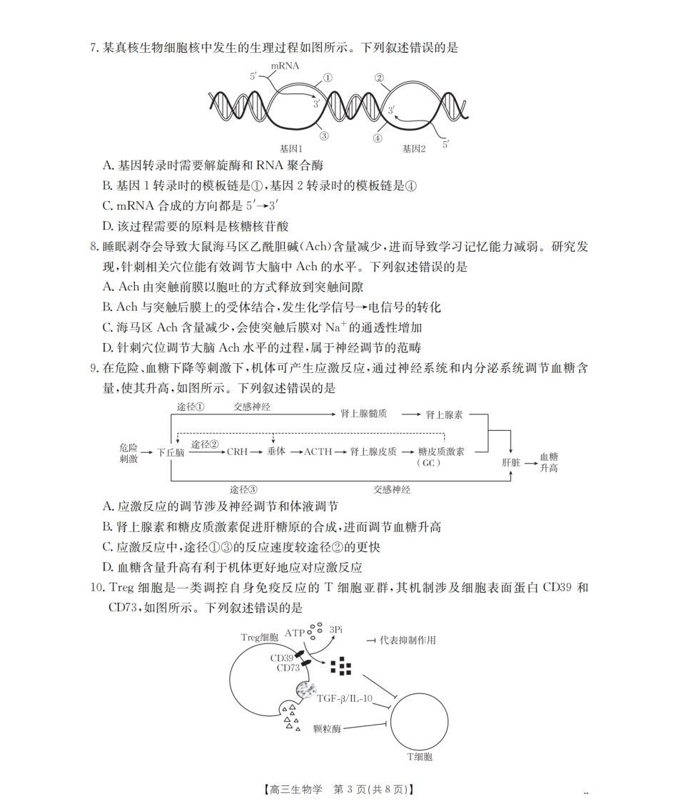 云南省保山市昌宁县2027届高三上学期9月月考（生物）试题+答案.pdf_第3页