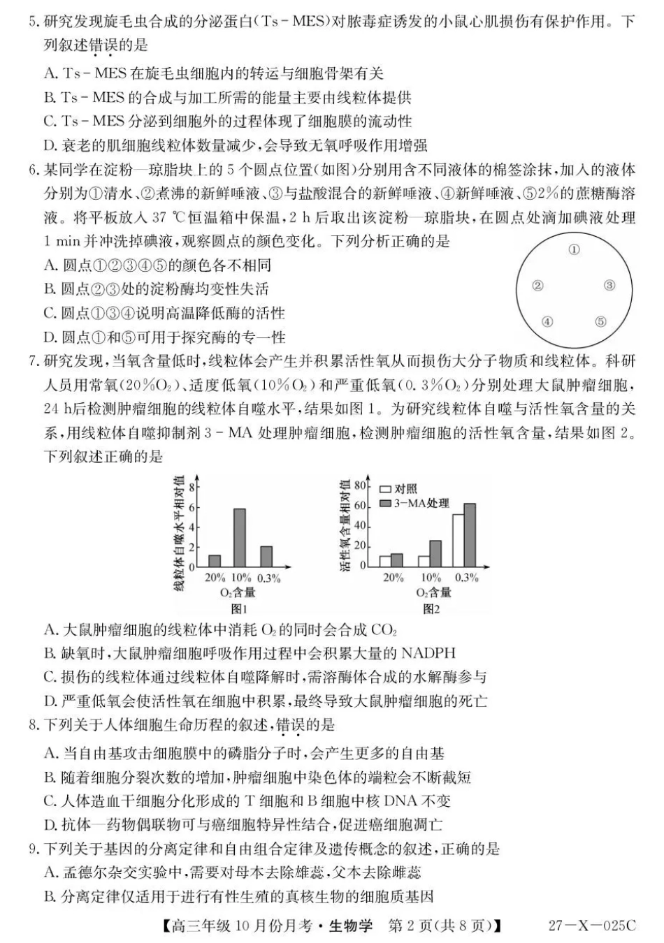 黑龙江龙东十校联盟2026-2027学年高三上学期10月月考（生物）试题+答案.pdf_第2页