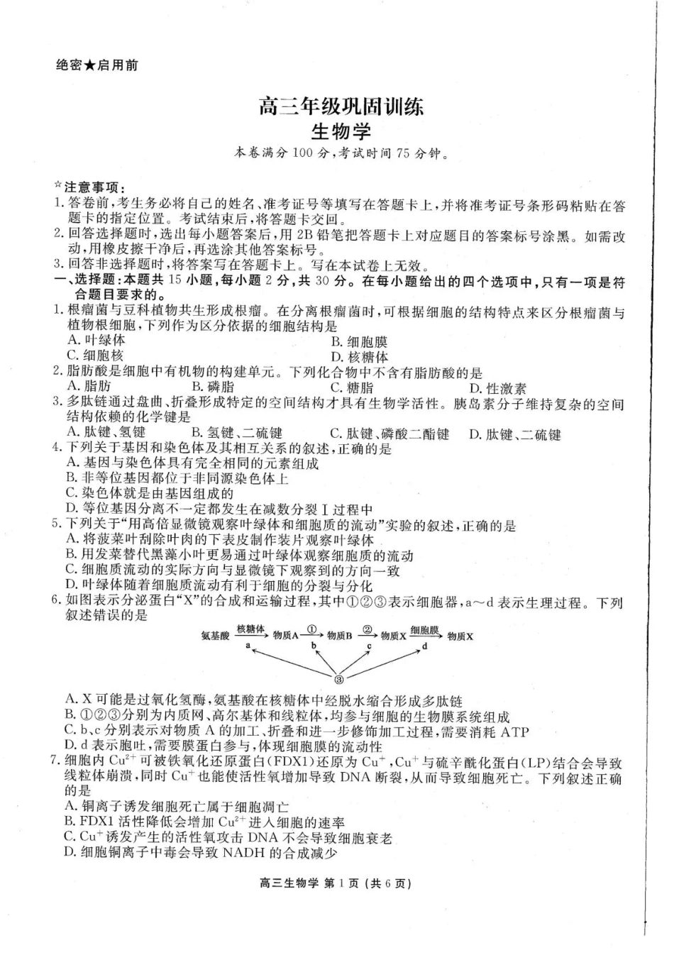 辽宁部分高中2026-2027学年高三上学期10月阶段检测（生物）试题+答案.pdf_第1页