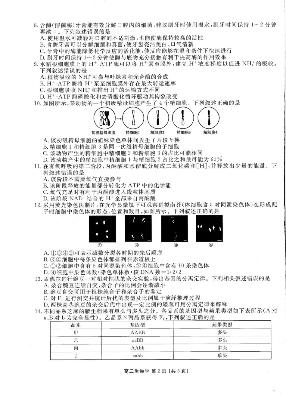 辽宁部分高中2026-2027学年高三上学期10月阶段检测（生物）试题+答案.pdf_第2页