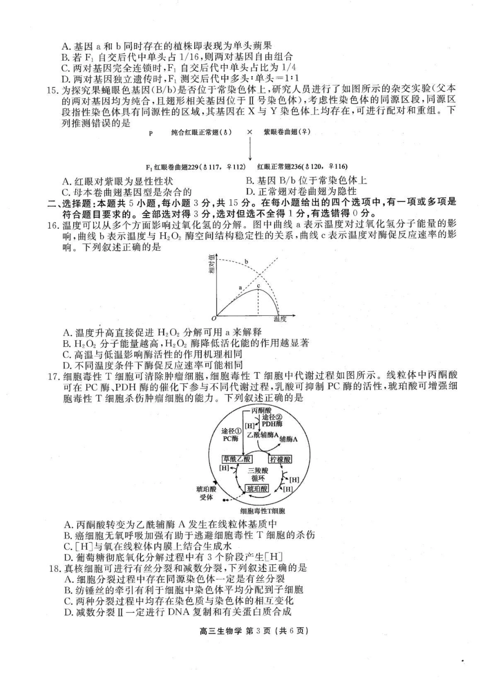 辽宁部分高中2026-2027学年高三上学期10月阶段检测（生物）试题+答案.pdf_第3页