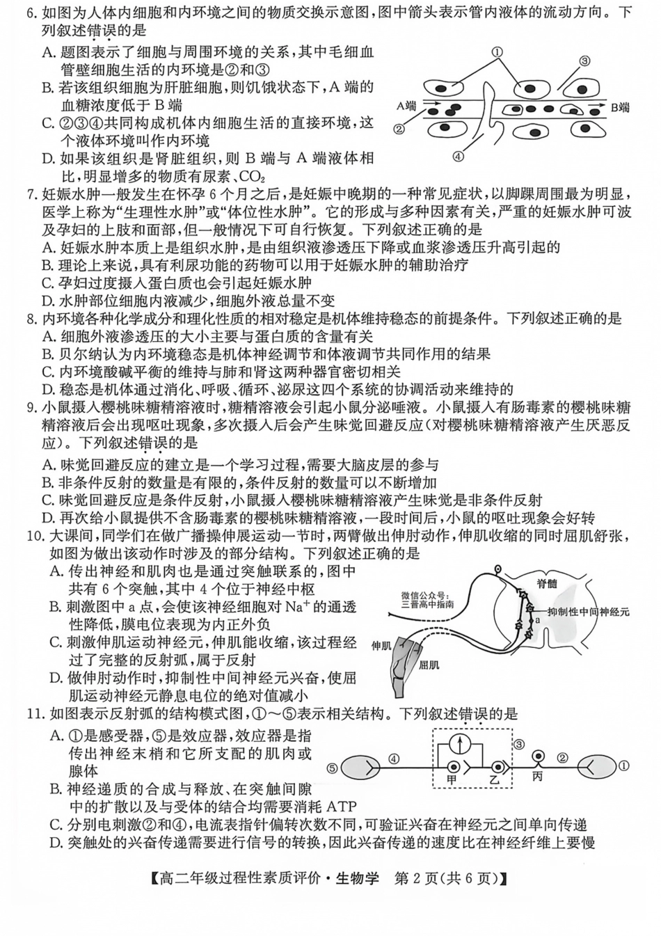 山西晋城市2026-2027学年高二上学期10月过程性素质评价（生物）试题+答案.pdf_第2页