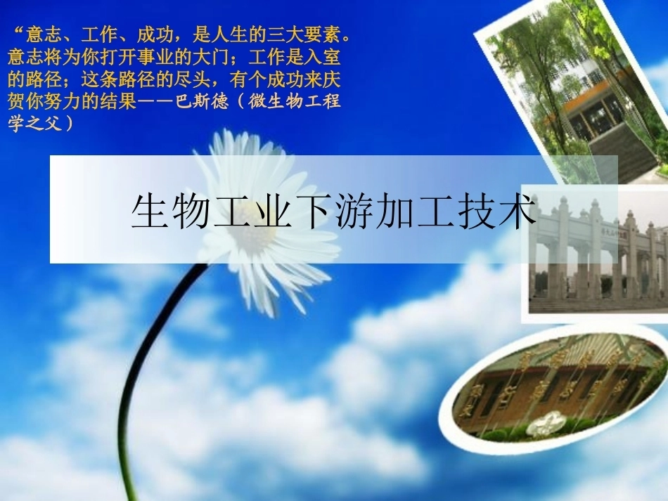 生物工业下游技术全册配套完整课件3.ppt_第2页