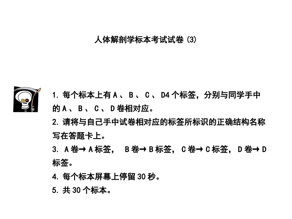 系解实验考完整教学课件.ppt_第2页