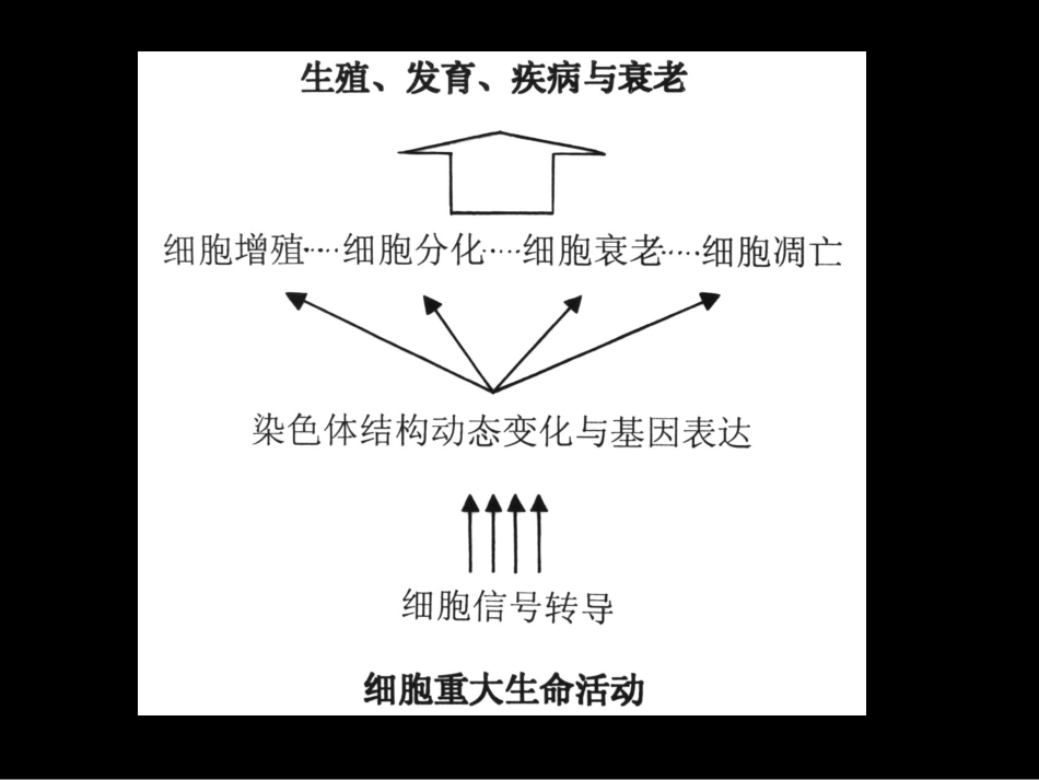 医学细胞生物学全册完整教学课件2.ppt_第2页