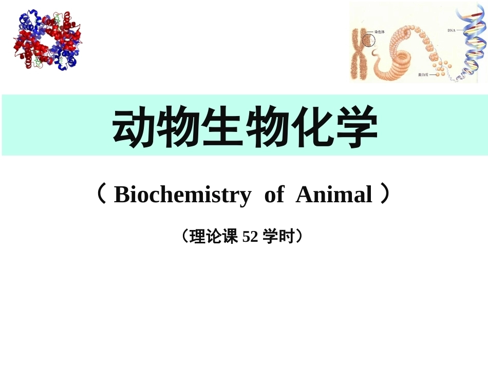 动物生物化学完整教学课件1.pptx_第2页
