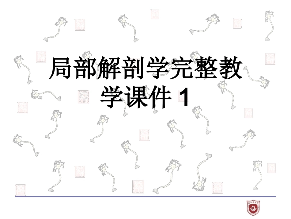 局部解剖学完整教学课件1.pptx_第1页