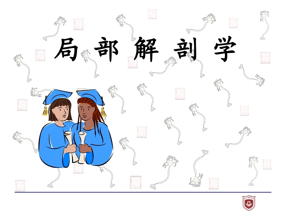 局部解剖学完整教学课件1.pptx_第2页