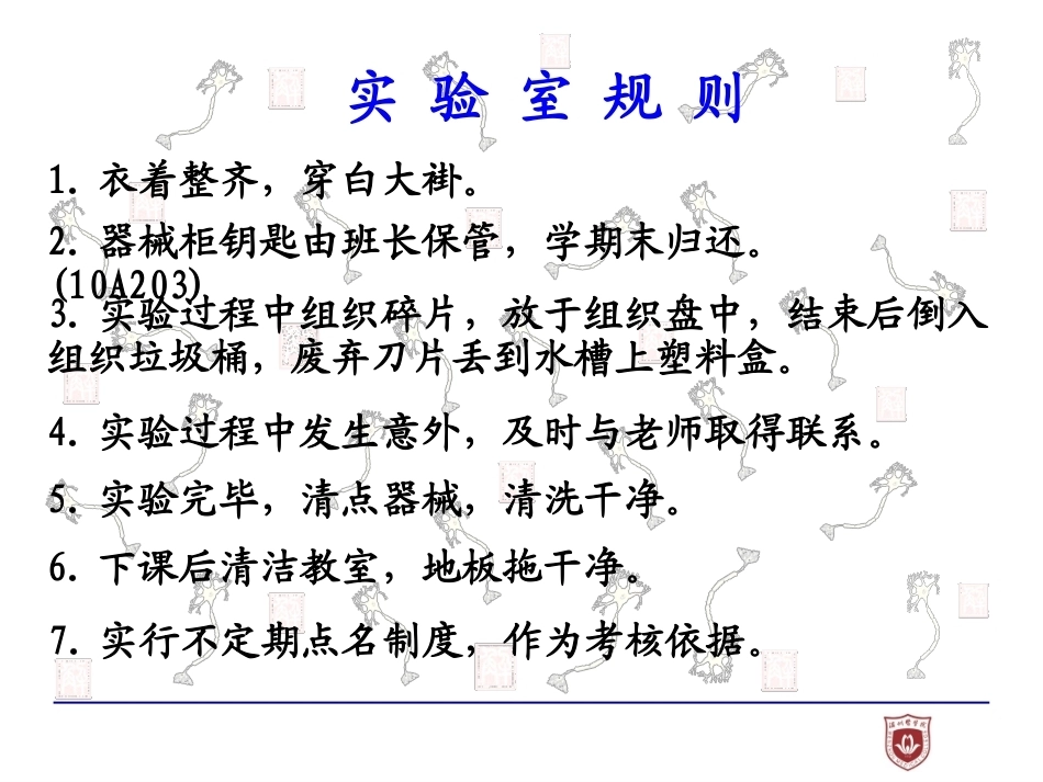 局部解剖学完整教学课件1.pptx_第3页