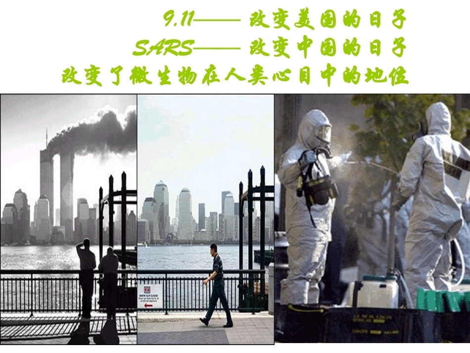 微生物学完整教学课件1.pptx_第3页