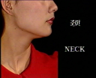 全国“创新杯”说课大赛医药卫生类优秀作品：颈部检查说课课件.zip