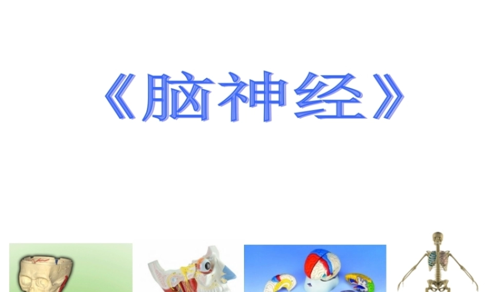 全国“创新杯”说课大赛医药卫生类优秀作品：周围神经系统-脑神经说课课件.zip