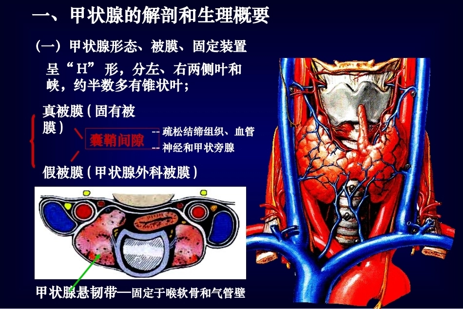 《外科学》教学整册课件.ppt_第2页