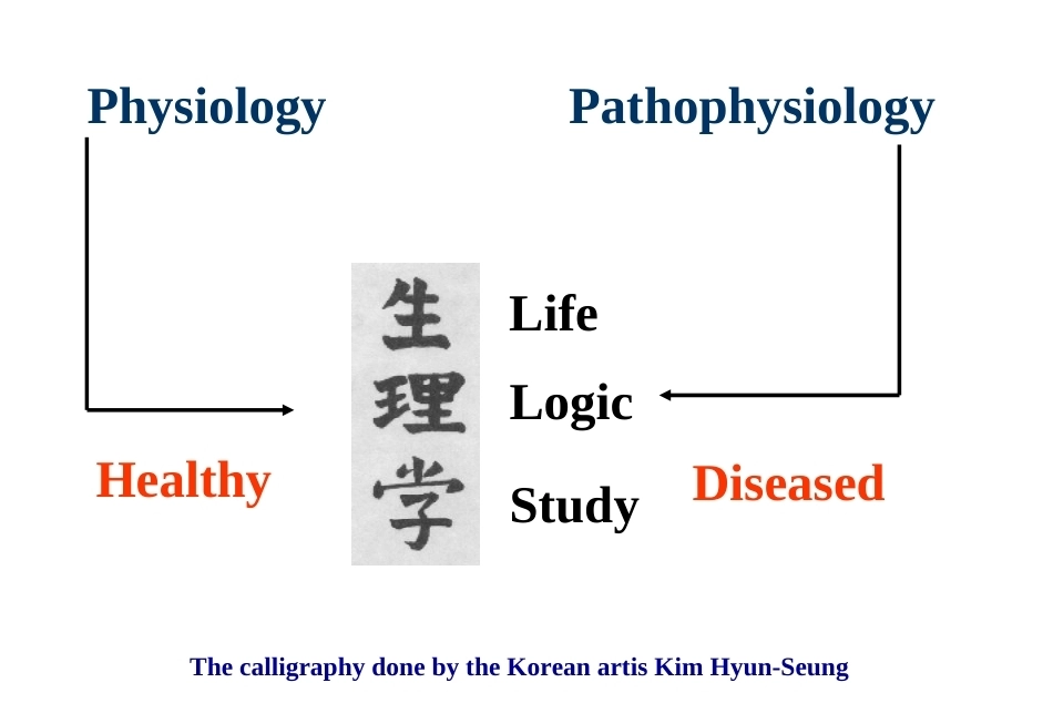《病理生理学》全册配套教学课件1.ppt_第3页