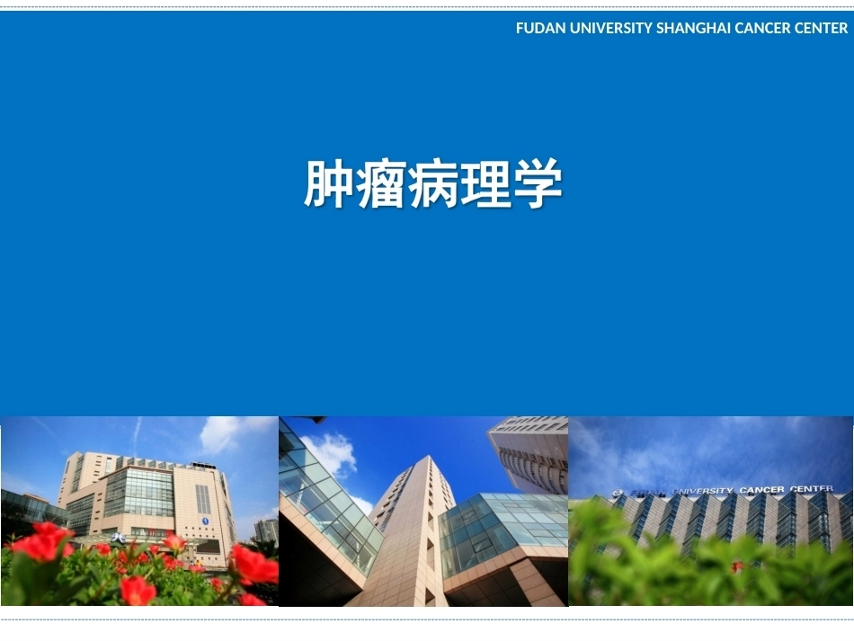 《肿瘤病理学》全册配套教学课件.ppt_第2页