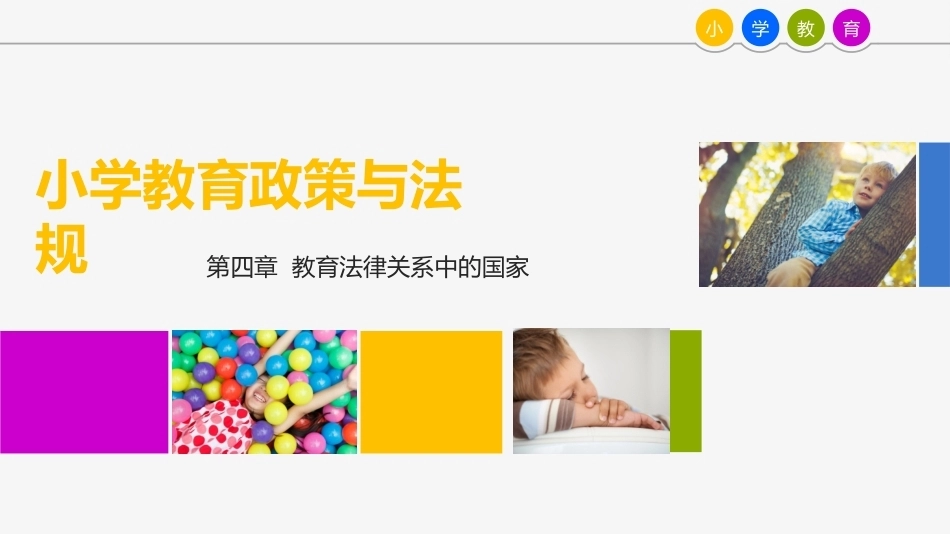 教育政策与法规：教育法律关系中的国家PPT教学课件.pptx_第1页
