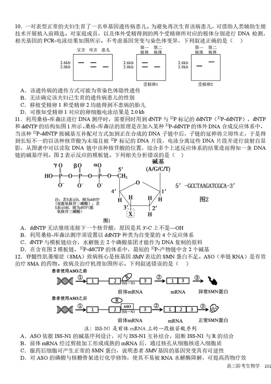 成都树德中学2026-2027学年高三上学期10月阶段性测试 生物试题（含答案）.pdf_第3页