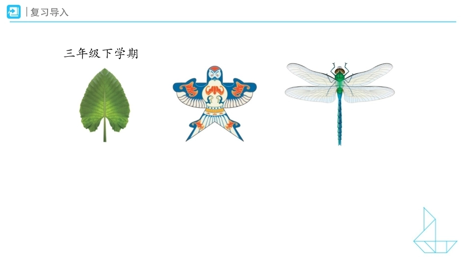 轴对称的特征及画法课件2026-2027五年级数学上册人教版.pptx_第2页