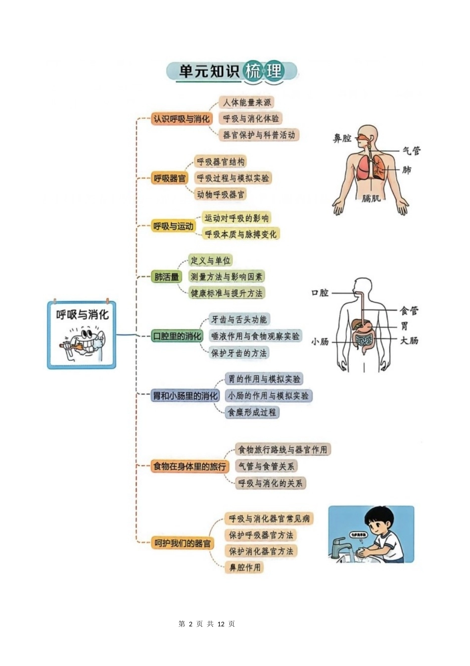 第二单元整理与复习（过关卷）2026-2027学年四年级科学上册教科版.docx_第2页