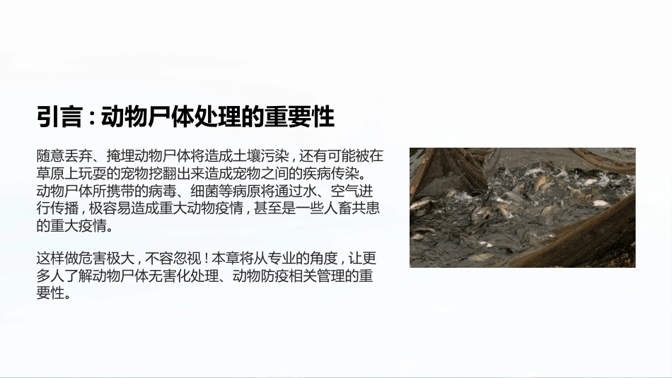 兽医法规：动物防疫其他规范性规定文件PPT教学课件.pptx_第2页