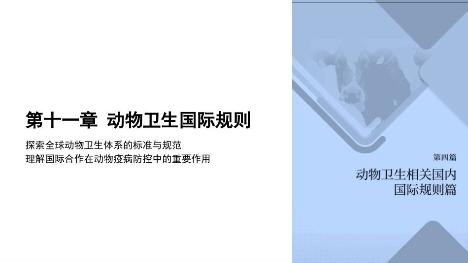 兽医法规：动物卫生国际规则PPT教学课件.pptx_第1页