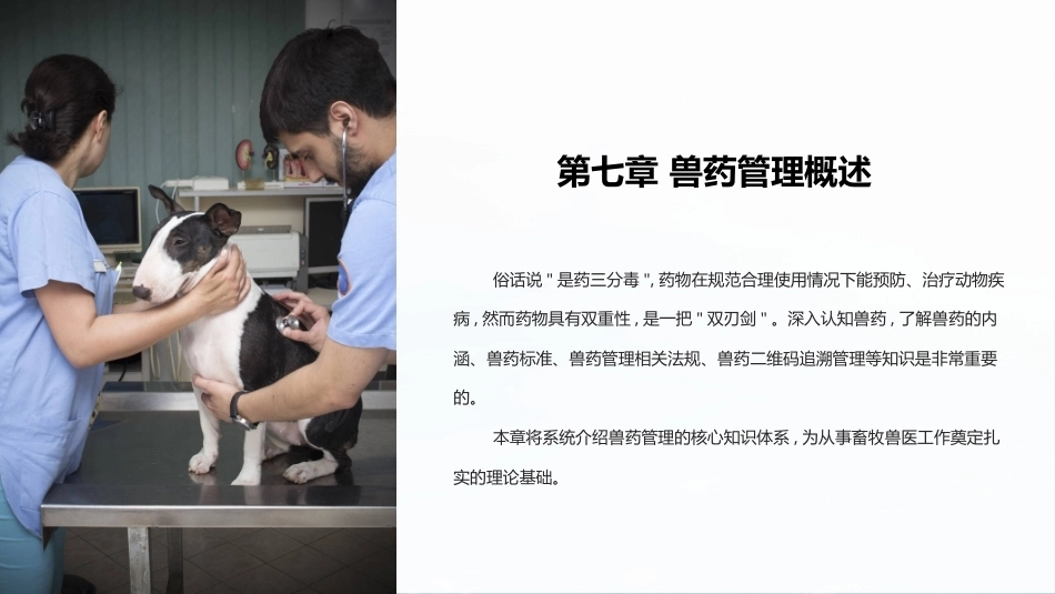 兽医法规：兽药管理概述PPT教学课件.pptx_第1页
