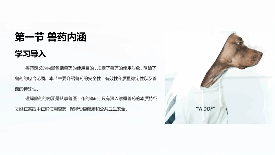 兽医法规：兽药管理概述PPT教学课件.pptx_第3页