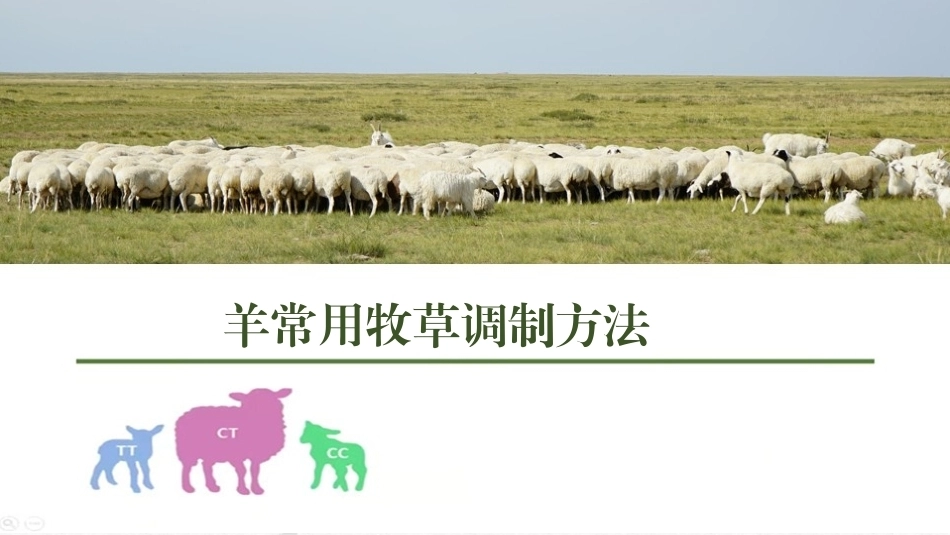 羊生产：羊常用牧草饲料调制方法PPT教学课件.pptx_第1页
