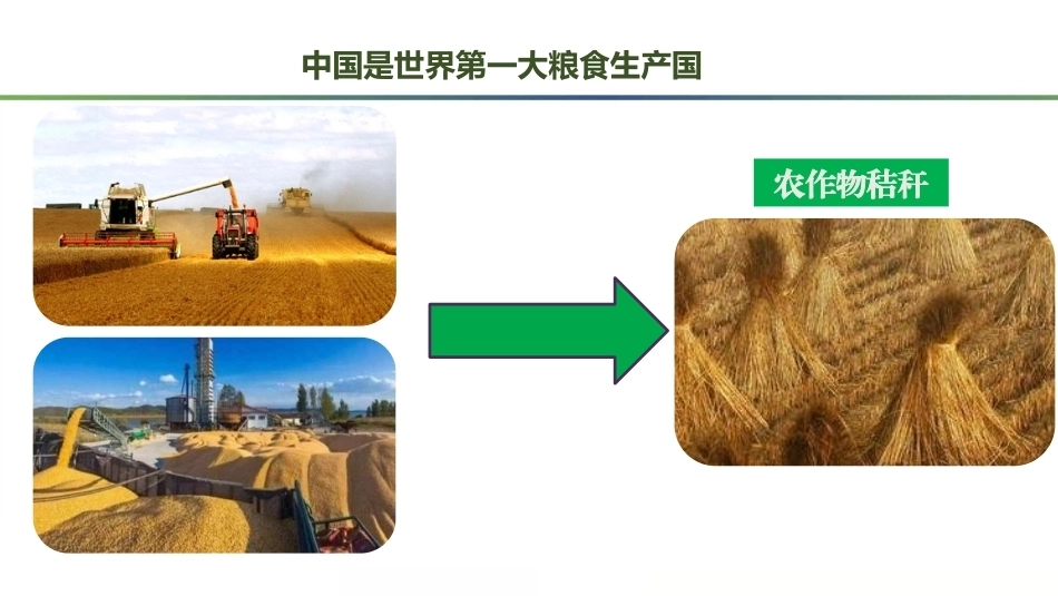 羊生产：羊常用牧草饲料调制方法PPT教学课件.pptx_第2页