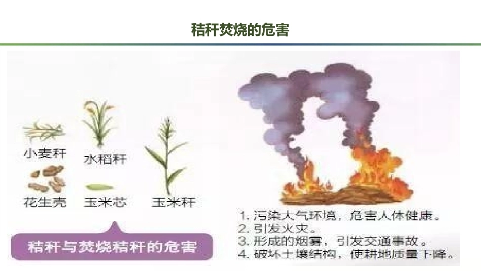 羊生产：羊常用牧草饲料调制方法PPT教学课件.pptx_第3页