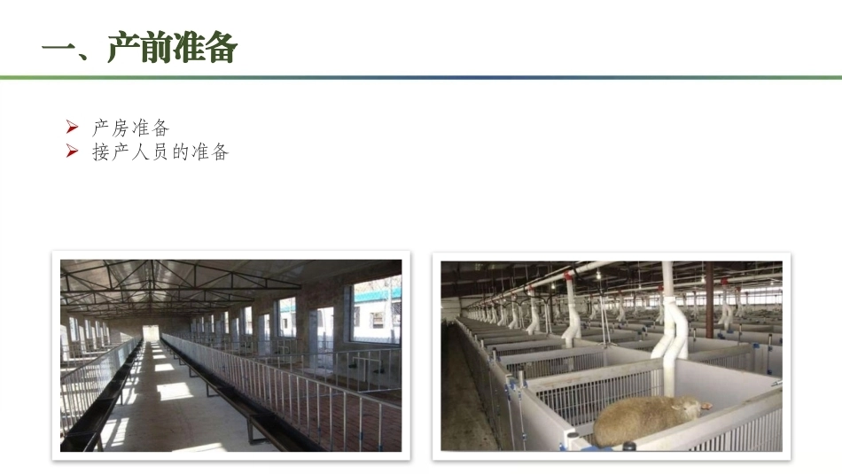 羊生产：羊的接产与助产PPT教学课件.pptx_第3页