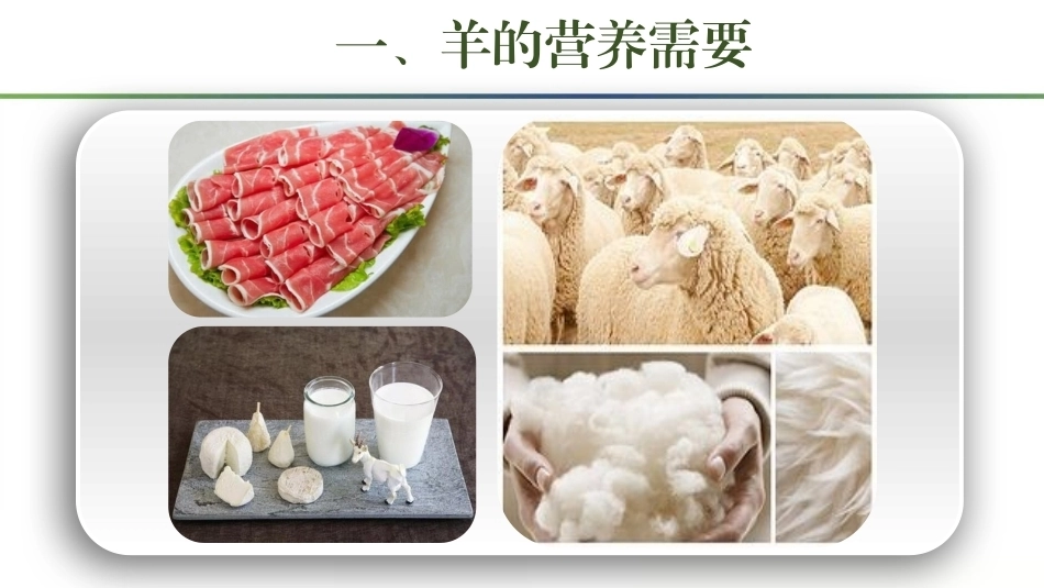 羊生产：羊的营养需要与饲料利用PPT教学课件.pptx_第2页