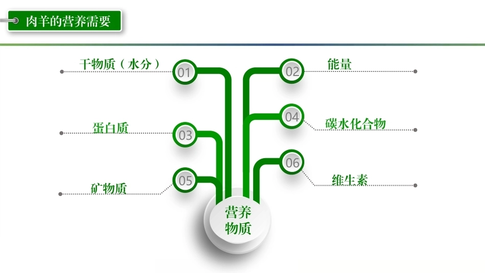 羊生产：羊的营养需要与饲料利用PPT教学课件.pptx_第3页