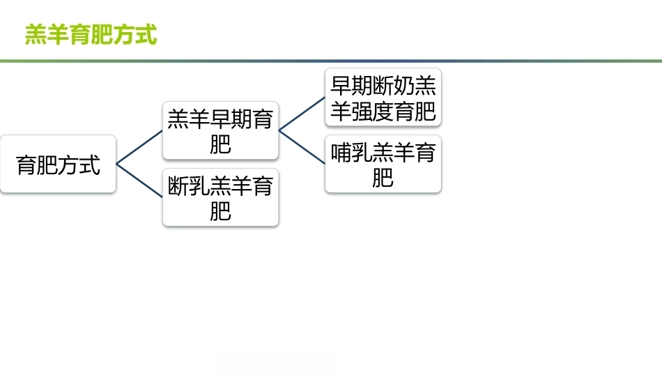羊生产：羊的育肥技术PPT教学课件.pptx_第3页