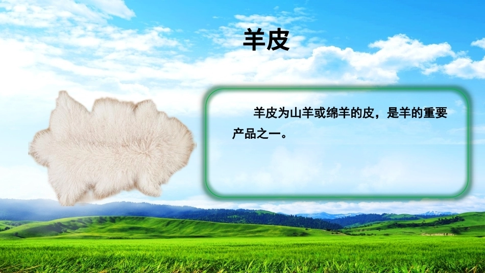 羊生产：羊皮PPT教学课件.pptx_第2页